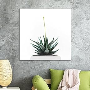 Small White Succulent Pot On White Background - Canvas Art