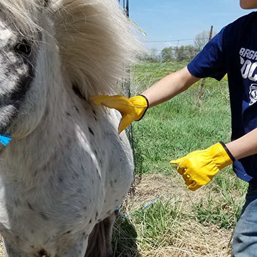 Kids Leather Work Gloves, Premium Top Grain Cowhide, For Gardening, Mechanic, Ranch, Riding, Weeding, Pruning (med-ages 6-8)