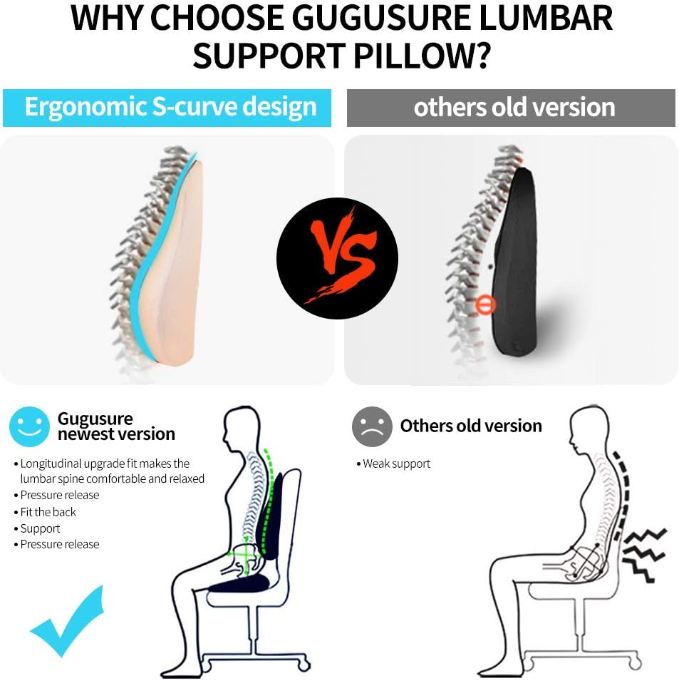 Gugusure Lumbar Support Pillow,Memory Foam Back Cushion with Breathable Mesh for Low Back Pain Relief,Orthopedic Backrest for Car Seat,Office Chair，Wheelchairs and Recliner: Office Products