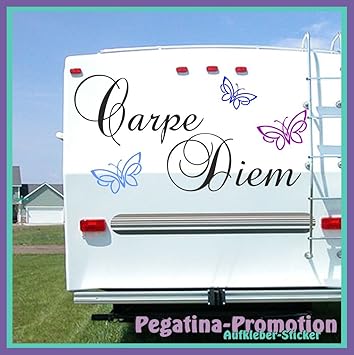 Hochwertige Wohnwagen Wohnmobil Aufkleber Carpe Diem