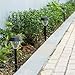 voona Solar Lights Outdoor (JJBH0006)