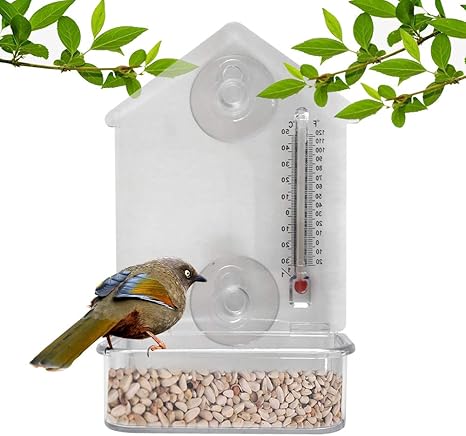 Amazon Com Window Bird Feeder For Outside With Thermometer Use 2