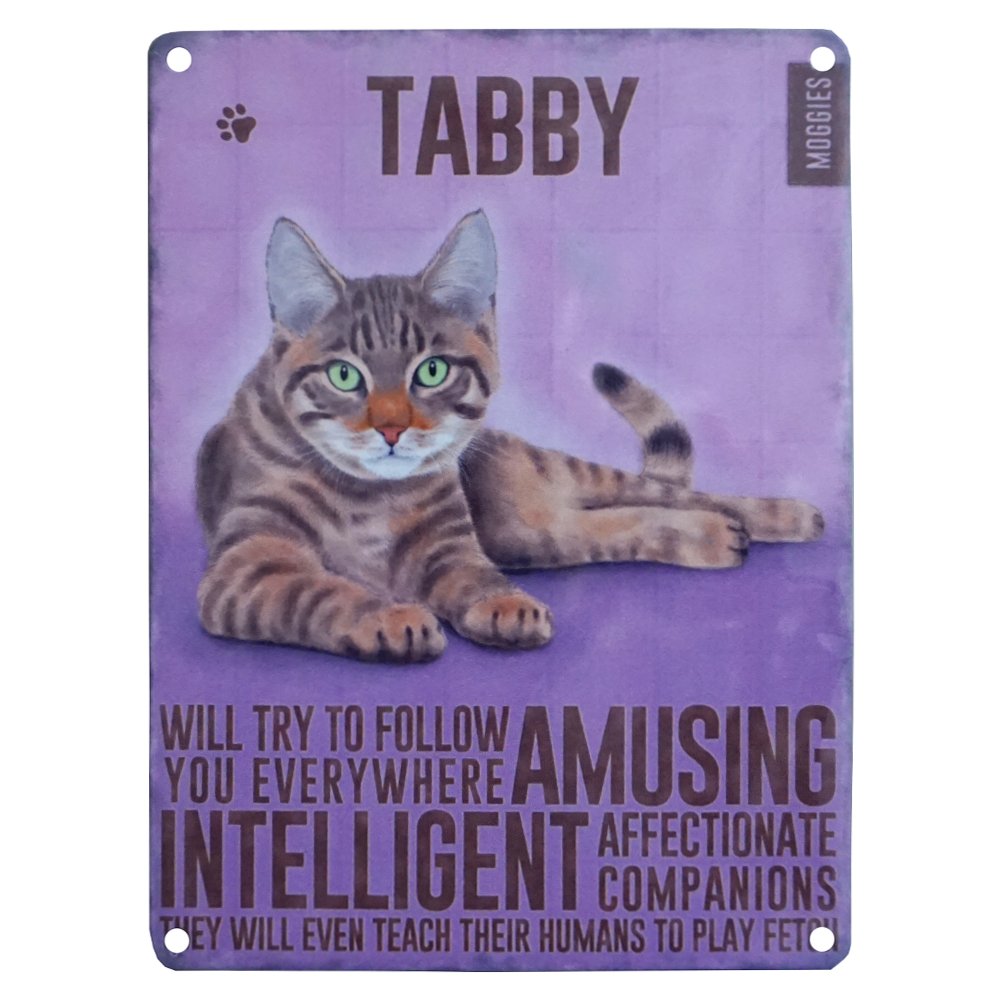 Vintage Style Metal Wall Sign Plaque Tabby Cat Kitten - Ideal Gift