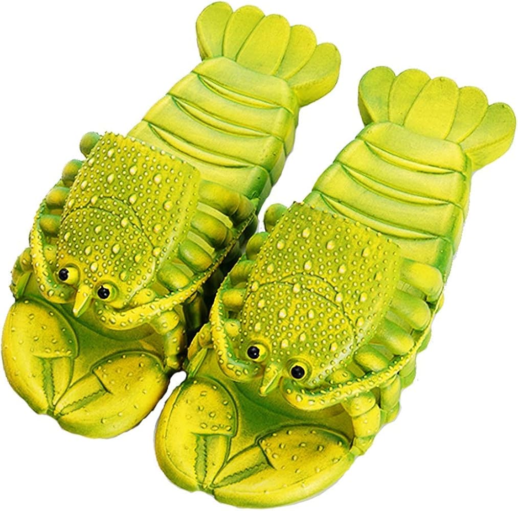 fish slippers