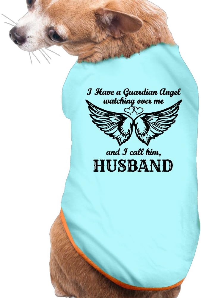 dog apparel stores near me