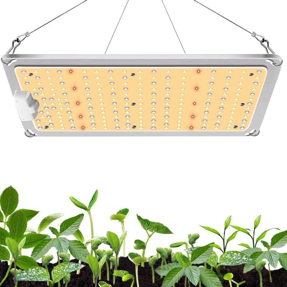 1000W LED Grow Light，Dimmable Plant Light with Samsung LM301B Diodes & Mean Well Driver,Full Spectrum Grow Light with IP65 Waterproof for Indoor Plants 3X3 ft Coverage: Home Improvement