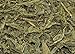 Solstice Loose Leaf Sencha Green Tea, 1 LB, Bulk 16-Ounces Japanese Style Green Sencha Tea - Approx 200+ Cups