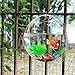 kathson Home Decoration Pot Wall Hanging Mount Bubble Aquarium Bowl Fish Tank Aquarium(White,7.6in H:3.6in) (White)