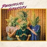 Phantastic Ferniture