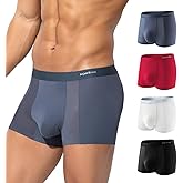 Arjen Kroos Mens Boxer Briefs Sexy Modal Mesh Underwear with Pouch Moisture Wicking Breathable Trunks 4 Pack