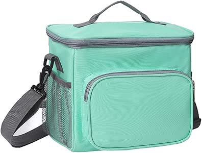 best lunch box cooler for adults