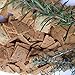 LiberatedHerb Crackers, Paleo