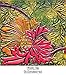 Jacquard Products Pinata Color Alcohol Inks, 1/2-Ounce, Tangerine