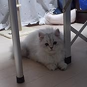 カスタマー画像