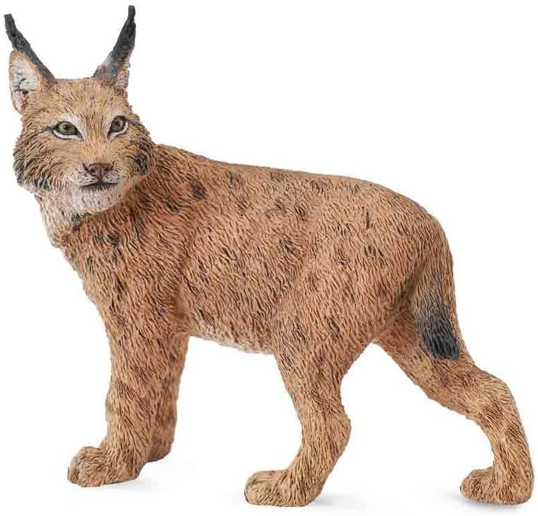 CollectA Wildlife Lynx Toy Figure - Authentic Hand Painted Model