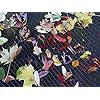 Blagdon-1022378-Clearview-Pond-Cover-Net-Strong-Double-Weave-Black-Fine-With-Pegs-3-m-x-2-m-10-x-6-6-Protects-Pond Blagdon 1022378 Clearview Pond Cover Net, Strong Double Weave, Black, Fine, With Pegs, 3 m x 2 m (10’ x 6’ 6”), Protects…