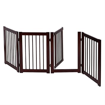 abkc puppies for sale