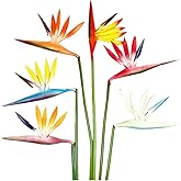 Rikyo 6 Colors Artificial Flowers 6Pcs Bird of Paradise 23" Permanent Flower,Strelitzia Tropical Imitation Plant Flower Bouquets for Office Home Party Decorations,Potted Plants Multicolor