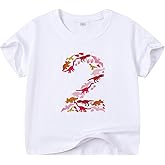 Birthday Girl Shirt Toddler Baby 2nd 3rd Birthday Embroidered T-Shirt B-Day Outfit Short Sleeve Tee Tops Clothes