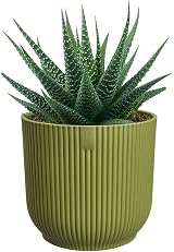 elho Vibes Fold Round Mini 11-100% Recyclable Flower Pot Ø11.1xH10.5 cm Green view 8
