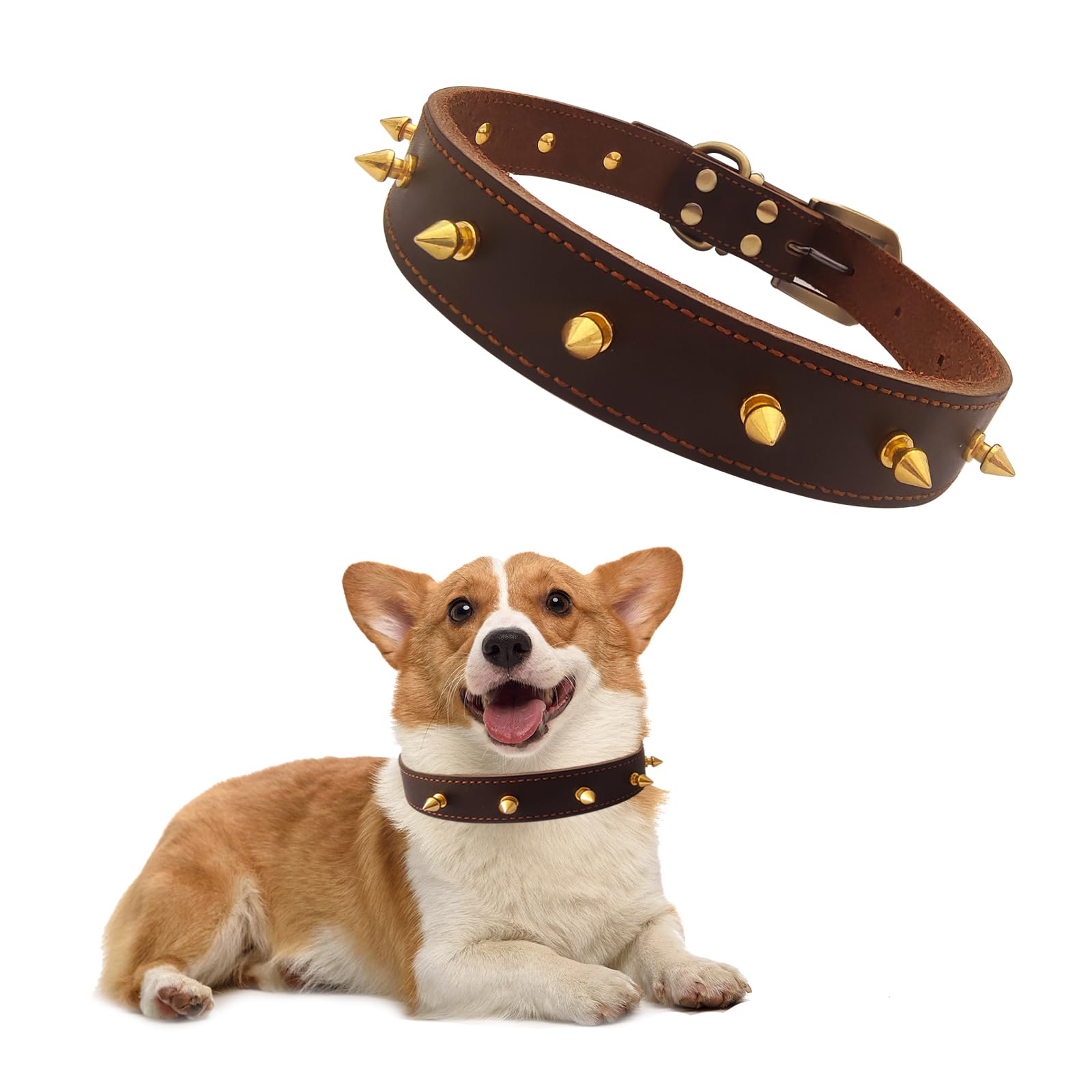 Qianruida Spiked Studded Leather Dog Collar Anti-Bite Adjustable Individuality Collar Rivet Spike Collars for Small Medium Dogs – L