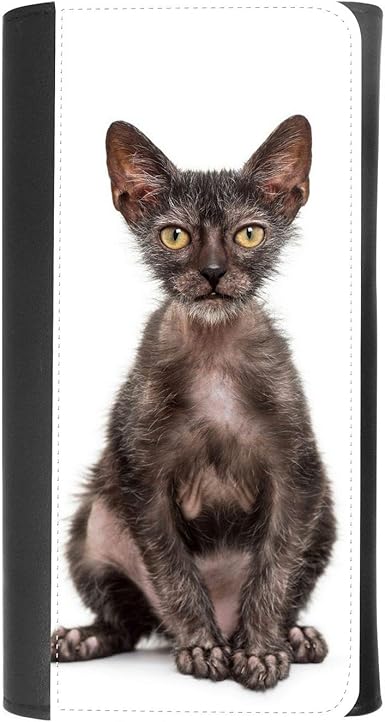 Lykoi Kitten Lykoi Cat For Adoption Lykoi Wolf Cat Paw Werewolf