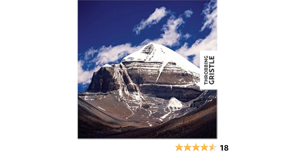 Throbbing Gristle Part Two The Endless Not Amazon Com Music