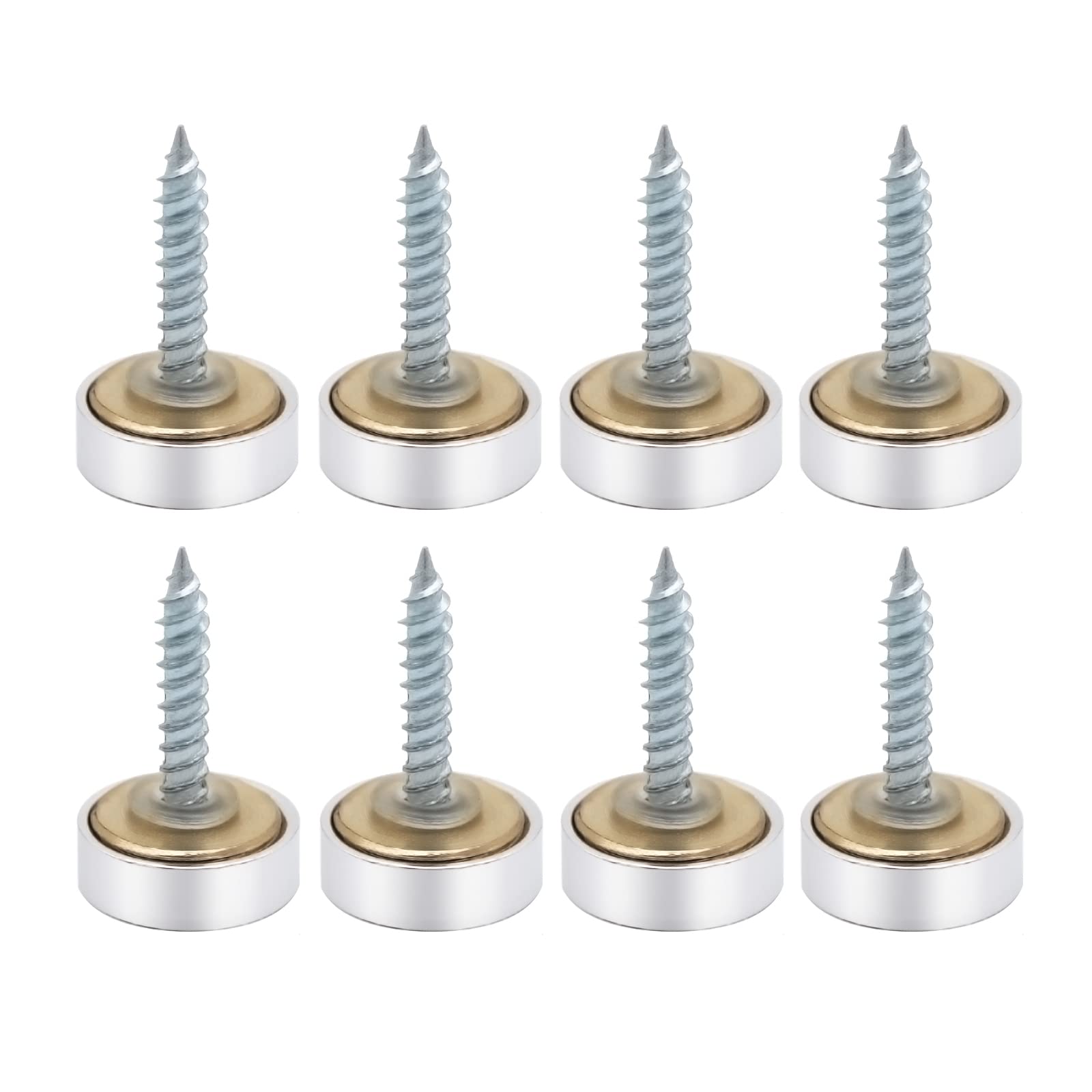 VictorsHome Mirror Screws Decorative Cover Cap Nails Fasteners, Polished Brass Silver, 16mm 8pcs