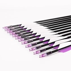 LWANO 31" Training Arrows-Archery Practice Target