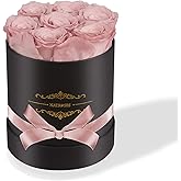 NATROSES 7 Piece Preserved Roses in a Box, Preserved Flowers for Birthday, Flower Gifts for Mothers Day (Dusty Rose)