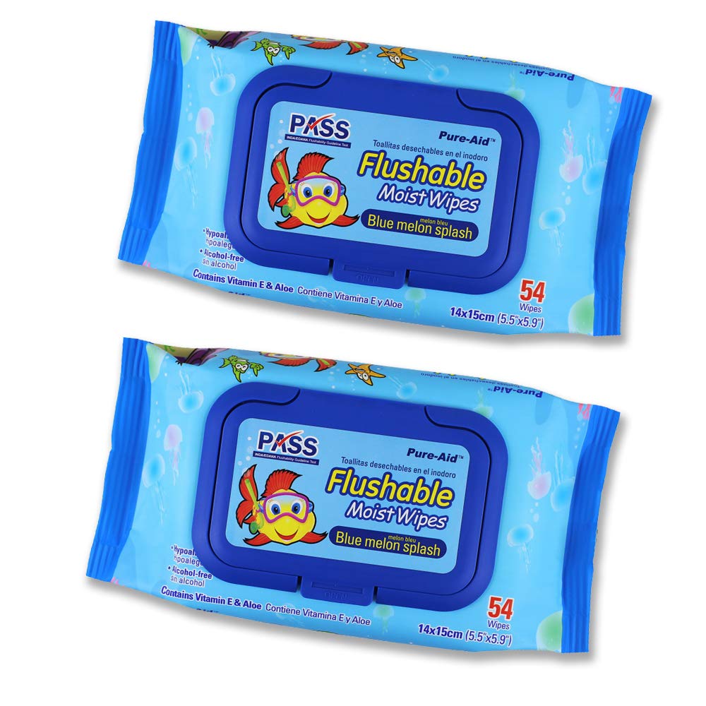 PureAid Flushable Baby Wipes, Blue Melon Splash Moist