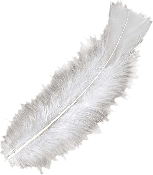 50 Plumes De Bricolage Douce Decoratives Blanc Environ 10 Cm Plume Moelleuse Samba Danse Bijou Carnaval Rio Amazon Fr Jeux Et Jouets