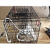 Maryland-Blue-crab-pot-trap-Chesapeake-Atlantic-blue-crab-PVC-coated-metal-Heavy-Duty