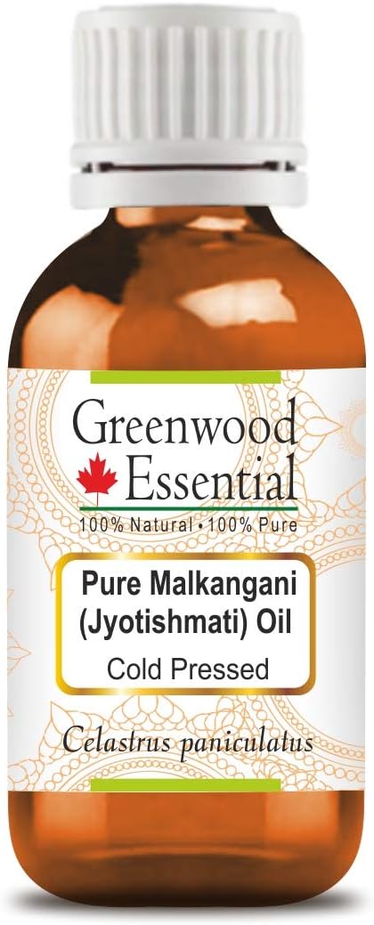 Greenwood Essential Pure Malkangani (Malkangni/Jyotishmati) Oil (Celastrus paniculatus) Cold Pressed Natural Therapeutic Grade 15ml (0.50 oz)