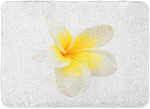 Amazon Com Emvency Doormats Bath Rugs Outdoor Indoor Door Mat Yellow Aloha Beautiful White Plumeria Rubra Flower Frangipani Bali Beauty Bathroom Decor Rug Bath Mat 16 X 24 Kitchen Dining