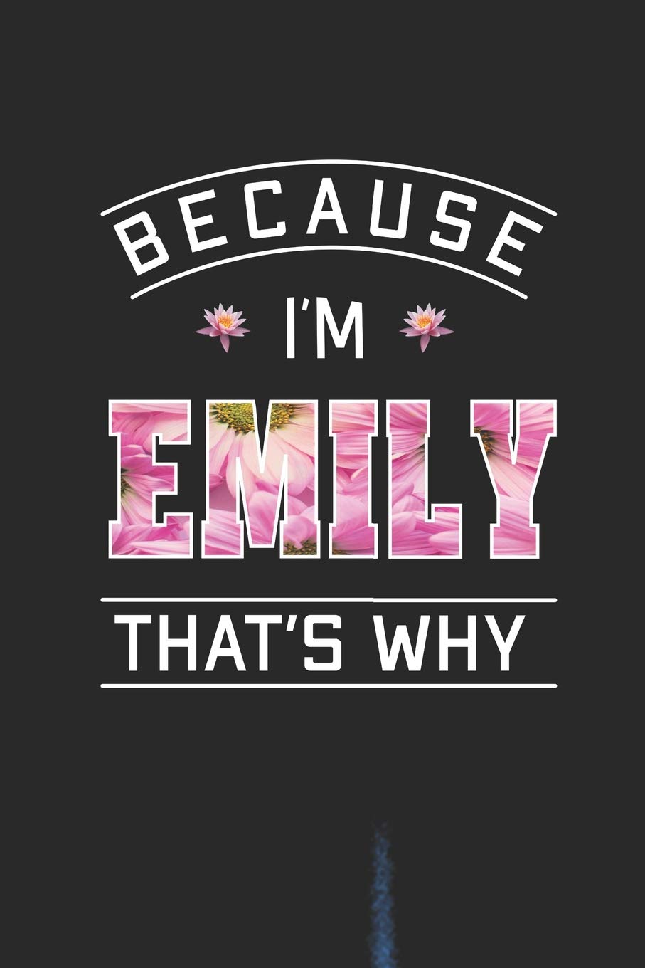 Amazon Com Because I M Emily That S Why First Name Funny Sayings Personalized Customized Names Women Girl Mother S Day Gift Notebook Journal 9781094950686 Journals Day Writing Books