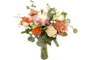Dominica Bouquets Orange and White Roses Bouquet - Prime Delivery Colombian Roses with Vase - Fresh Flowers for Gifting Ocassions and Decoration