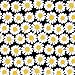 Coverking Universal Fit 50/50 Bucket Flower Fashion Print Seat Cover - Daisy Crazy (Yellow and White Daisies with Black Background)