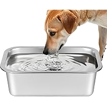 Dog Water Dispenser Pet Supplies Lonepetu Gallons Extra Large