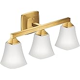 Moen Voss Brushed Gold 3-Light Dual-Mount Bath Bathroom Vanity Fixture with Frosted Glass, YB5163BG