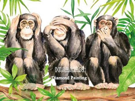 Amazon Co Jp 19 69x27 56inches 50x70cm オランウータンゴリラチンパンジー 5dダイヤモンド塗装 サル モザイク動物手作りギフト刺繍ゴリラデコレーションホーム ホーム キッチン