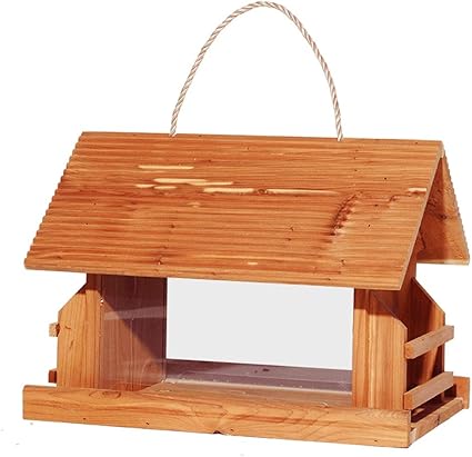 Bird Feeder Red Cedar Tree Ecological Protection Is Very Suitable