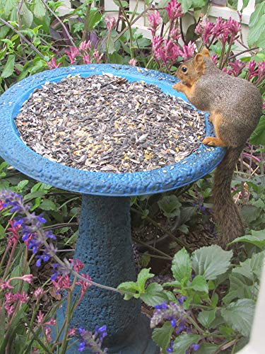 Exaco Trading Co. FM-2475B Exaco Endura Clay Scroll Vine Marbleized Birdbath, Two Shade Blue - Thumbnail 2
