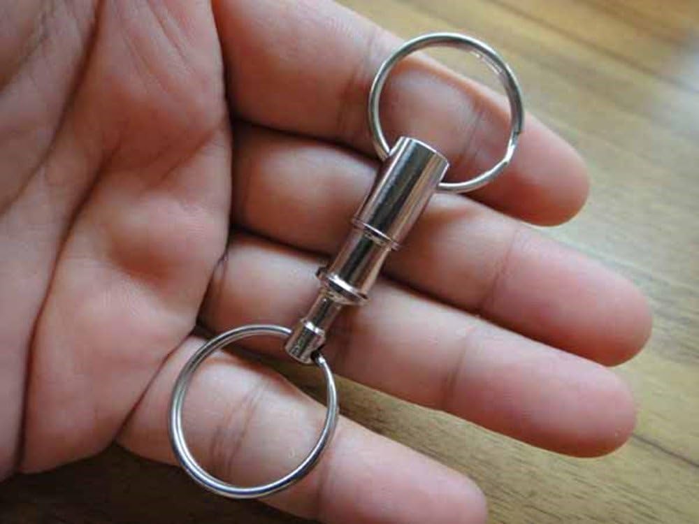 Rongbo 3 Pack Quick Release Detachable Pull Apart Key Rings Keychains,Double Spring Split Snap Seperate Chain Lock holder Convenient Accessory Gift (3Pack): Office Products