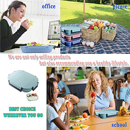 Bento Style Lunch Box for Adult teens, Removble 3 Compartments Stainless Steel Tray,On-the-Go Meal Dishwasher Safe,BPA-Free&Food-Safe Materials Reheat Storage Container Blue by ROYDOM ... - Thumbnail 6