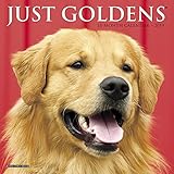 Just Goldens Mini 2019 Wall Calendar (Dog Breed Calendar) by 