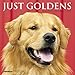 Just Goldens Mini 2019 Wall Calendar (Dog Breed Calendar) by 