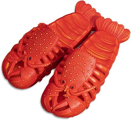 mens fish slippers