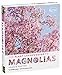 The Plant Lover's Guide to Magnolias (The Plant Lover's Guides) by 