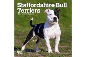 Staffordshire Bull Terriers | 2024 7 x 14 Inch Monthly Mini Wall Calendar | BrownTrout | Staffies Dog Breeds
